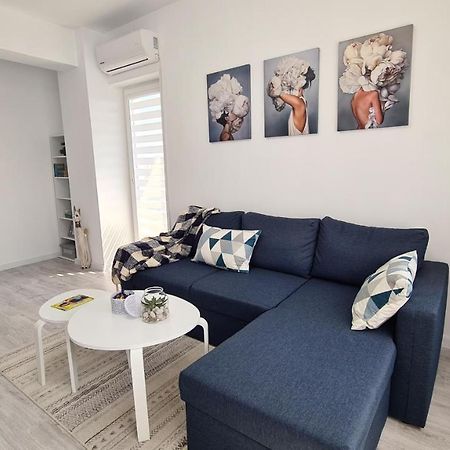 Bright Stylish Apartment In Pitesti 皮特什蒂 外观 照片